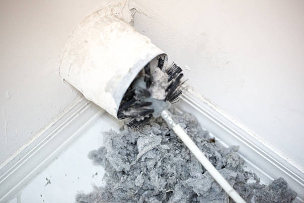 Best HVAC Duct Inspection Services  in Stlman Valley, IL